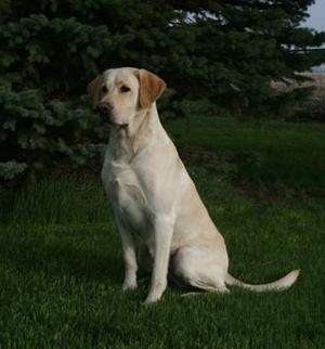 FC BLACKWATERS LAST RESORT