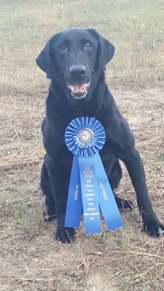 FC LONE WILLOWS LAST CALL