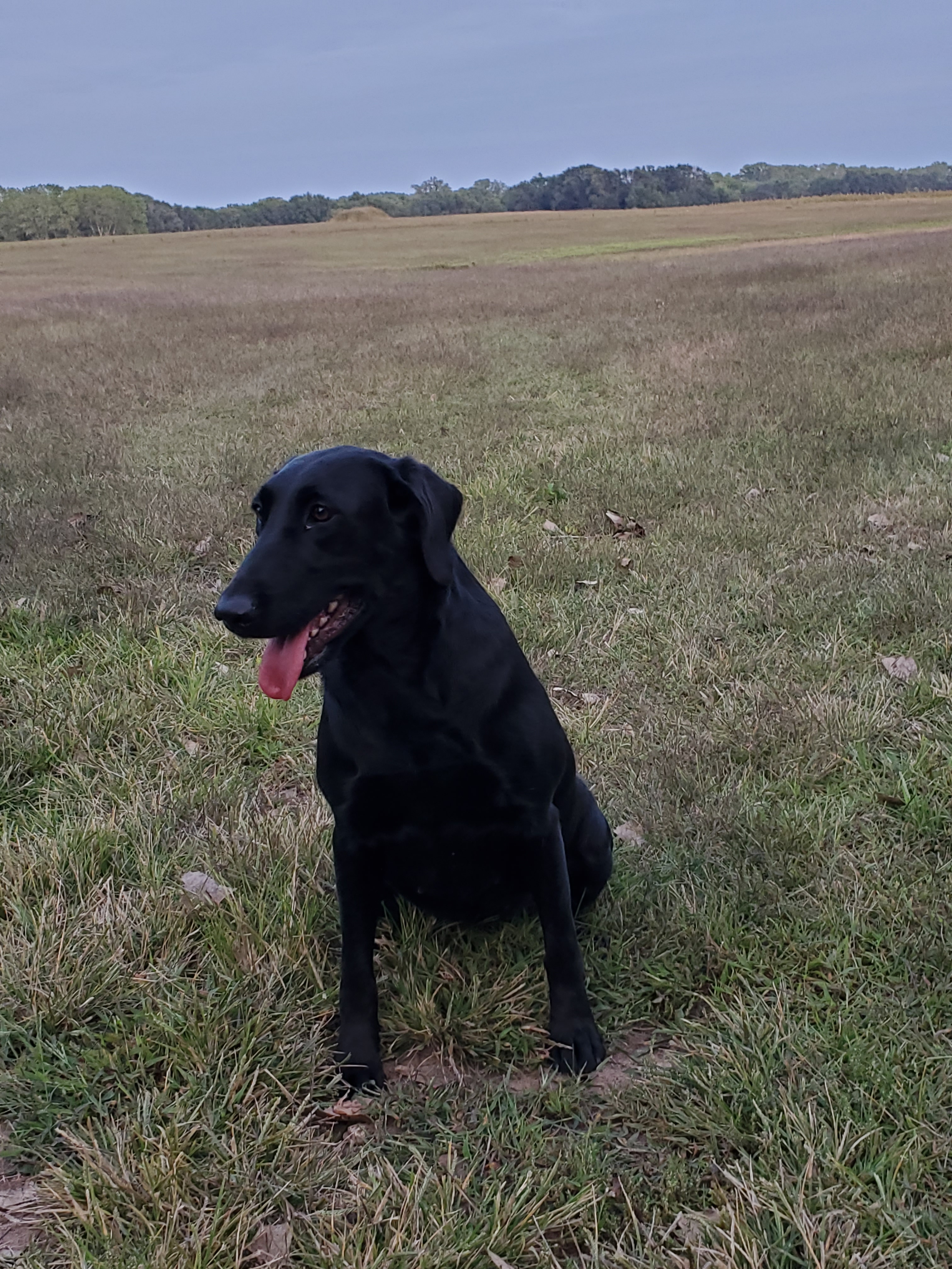 FATCITY'S CUP OF EXCELLENCE