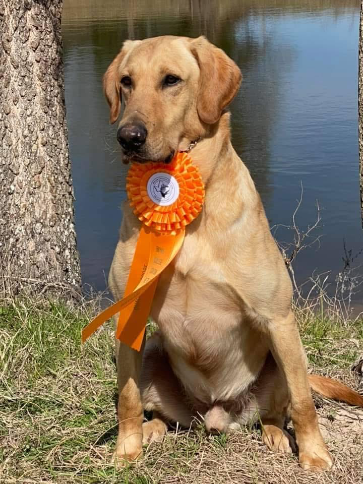 7XGRHRCH MOCOS STRAIGHT CASH HOMEY MH MNH