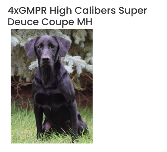 4XGMPR HIGH CALIBERS SUPER DEUCE COUPE MH