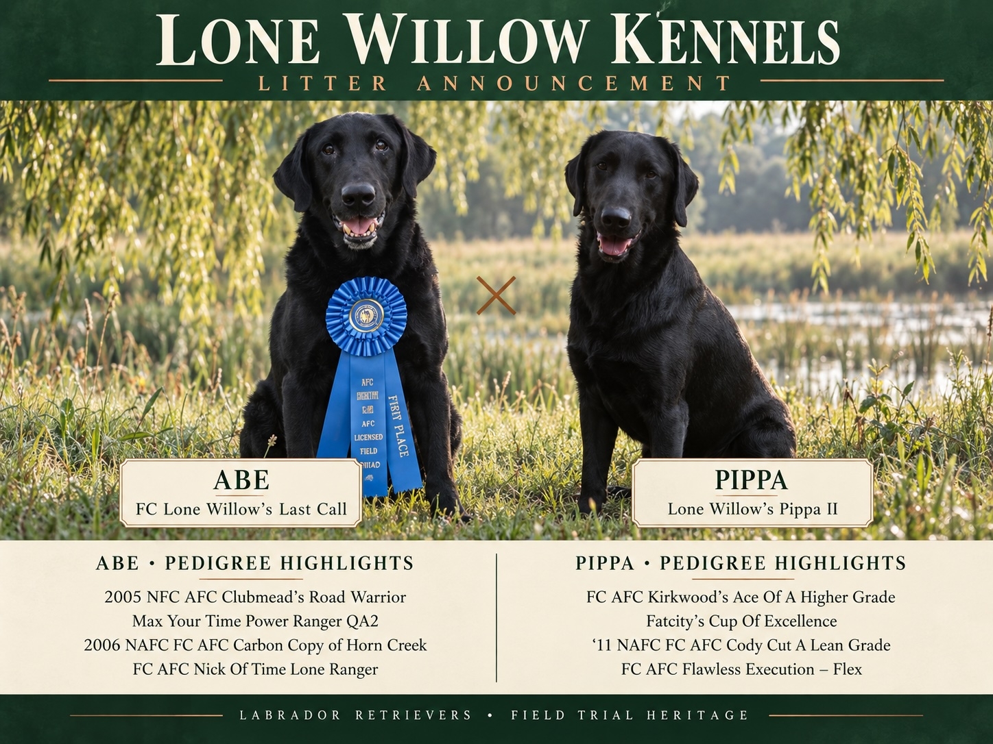 ABE AND PIPPA 2026 LITTER